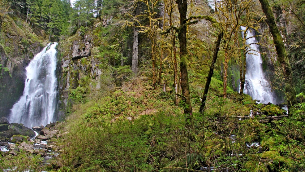 Outdoors Coast Range _Cata.jpg