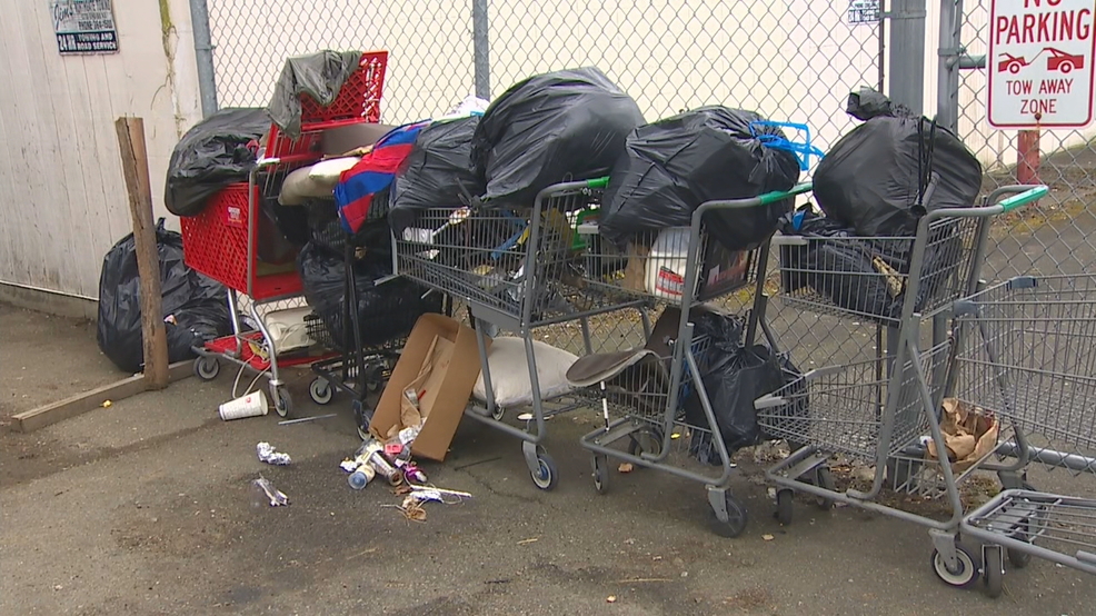 Lake City Homeless Camp Lake City Homeless Camp