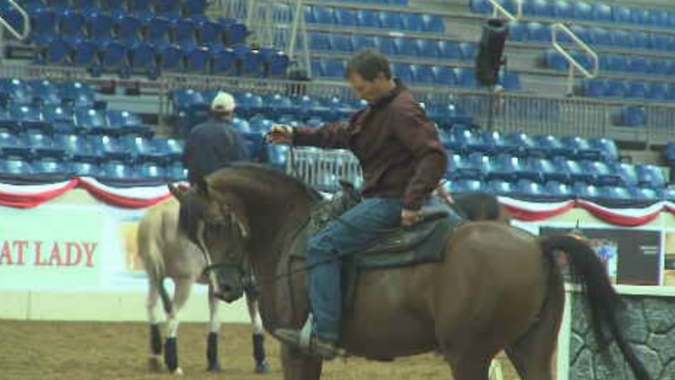 National Arabian and Half Arabian Championship Horse Show kicking off