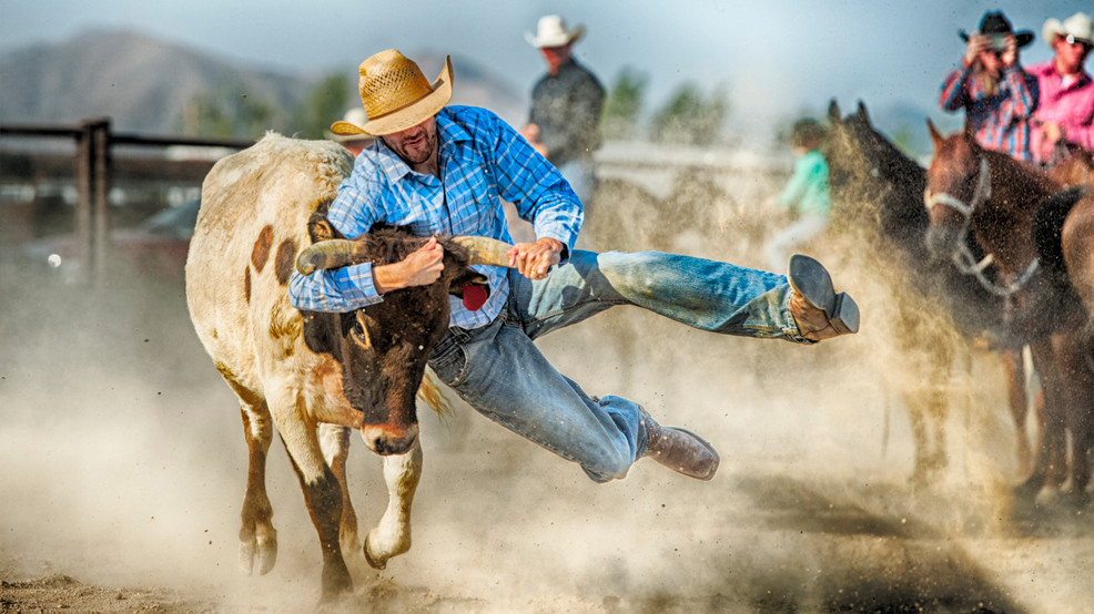 amateur rodeo saddle cow riding