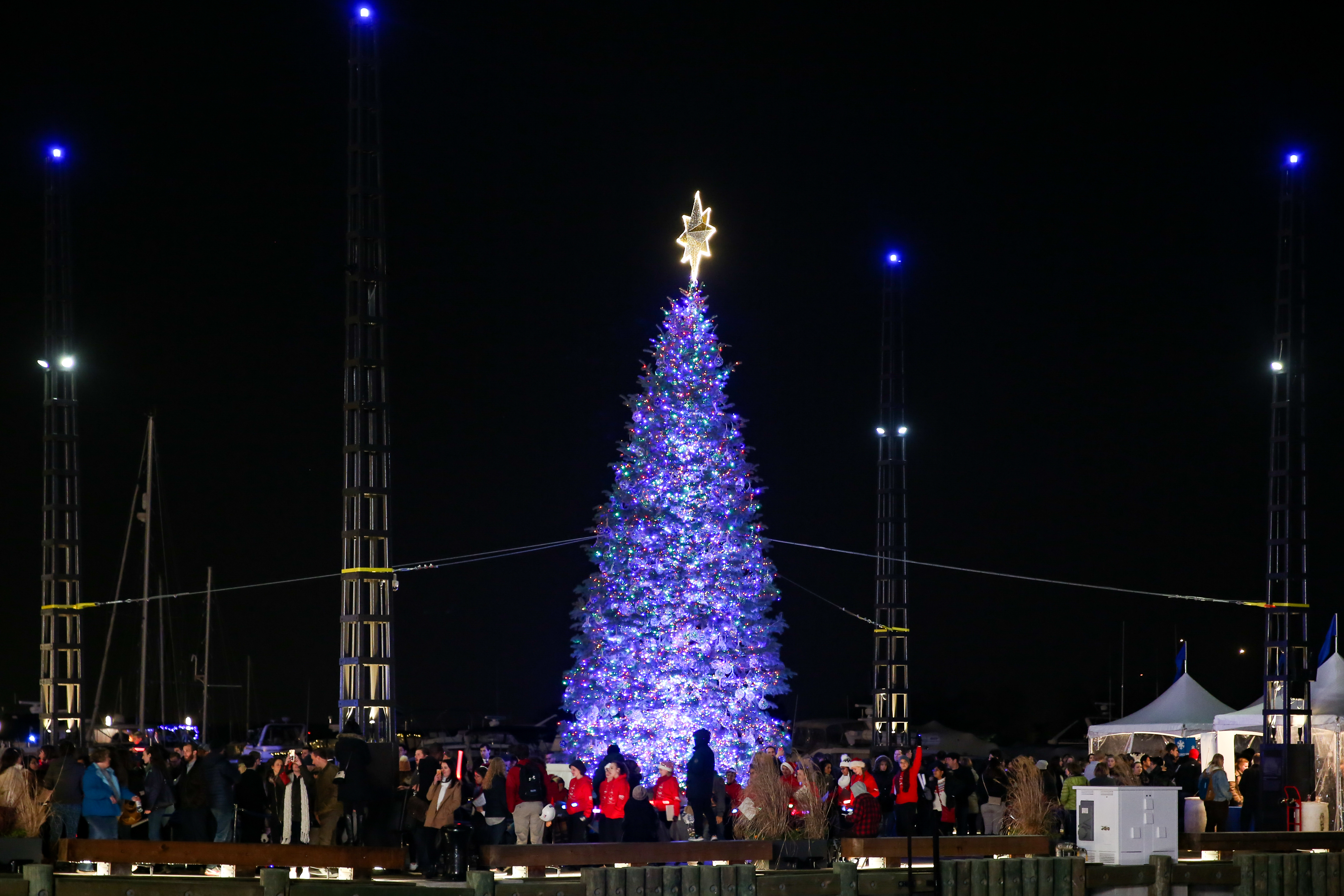 the wharf lights up its first christmas tree dc refined the wharf lights up its first christmas tree dc refined