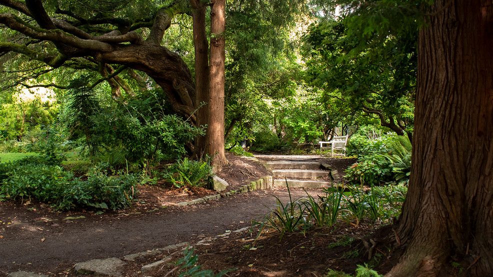 Photos Exploring Seattle's secret Pocket Parks KOMO