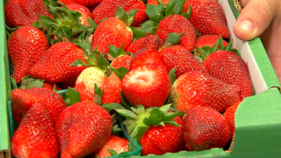 Poteet Strawberry Festival April 1315 WOAI