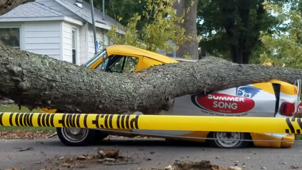 Hundreds lose power in Kalamazoo after tree falls on ice cream truck WWMT