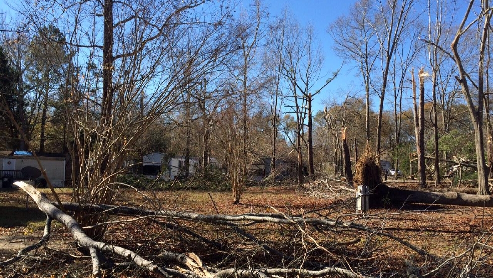 Gallery Tornado confirmed in Greenville County, residents start