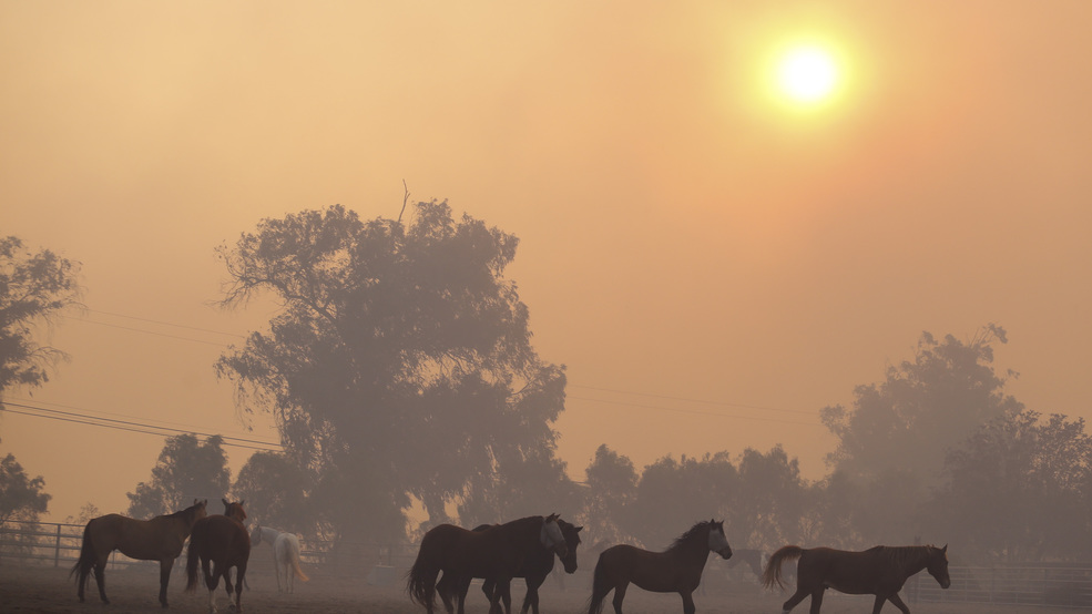 California Wildfires AP19303585540982.jpg