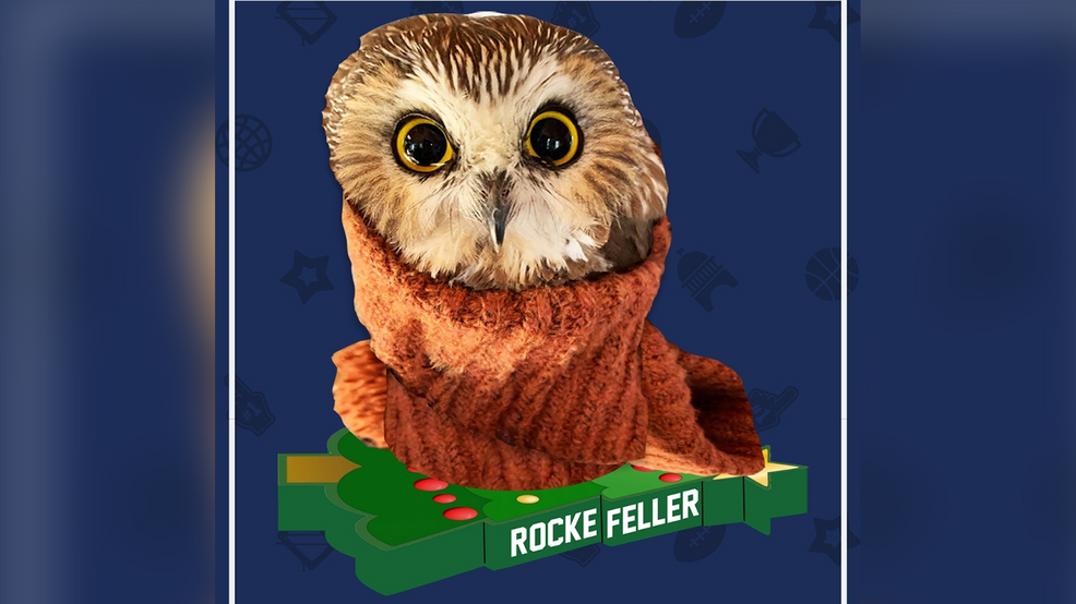 Owl found New York's Rockefeller Center Christmas tree to get a bobblehead | WMSN