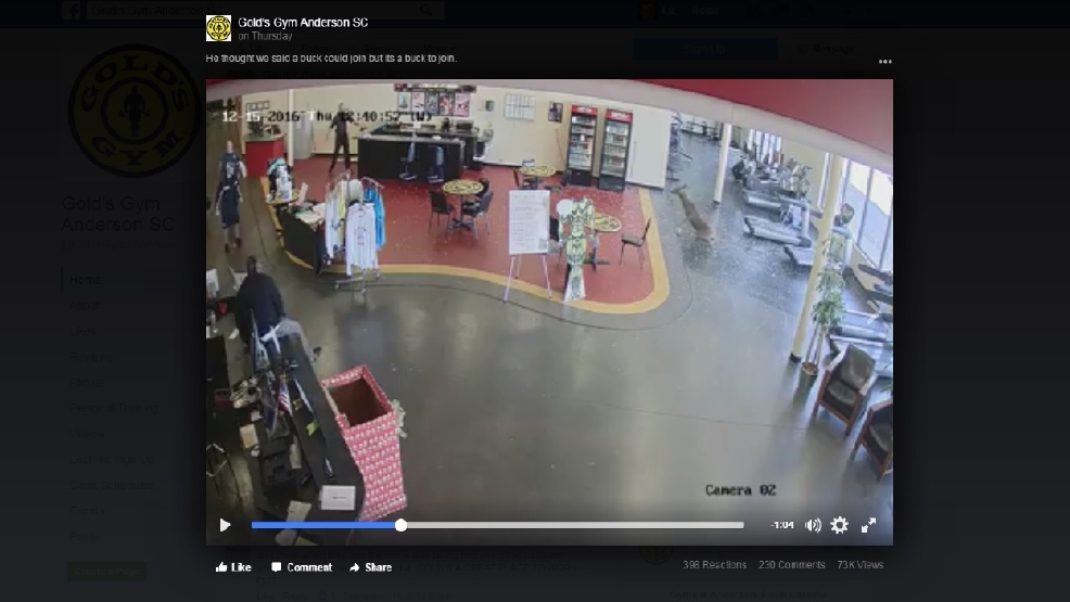 Bakersfield News, Weather, Sports, Breaking News KBAK