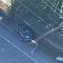 Driver arrested for DUI after crashing into power pole on Aurora Ave. N. in North Seattle