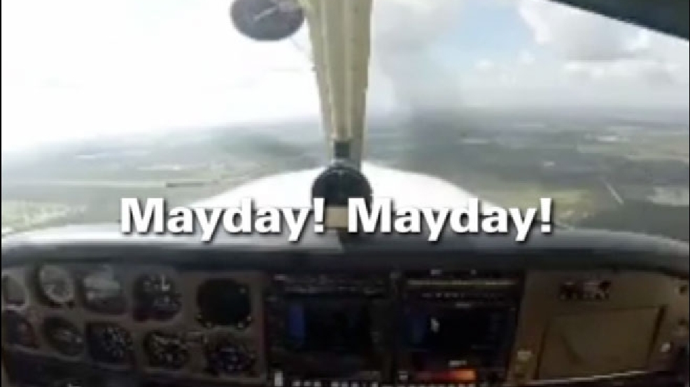 cnn-birdvplane.jpg