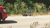 Search for missing cyclist called off after driver says bike fell out of his pickup truck