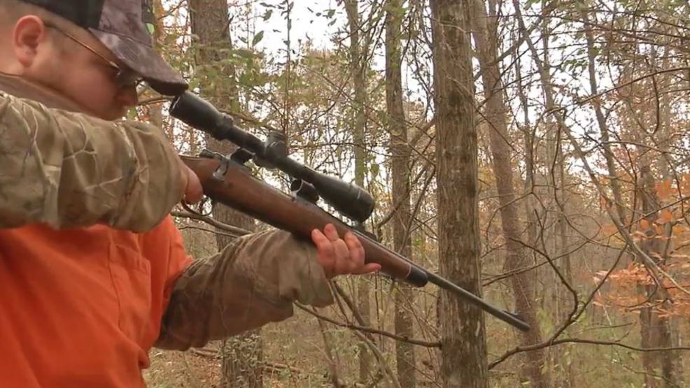 Thousands of deer hunters head to woods as buck firearms season kicks