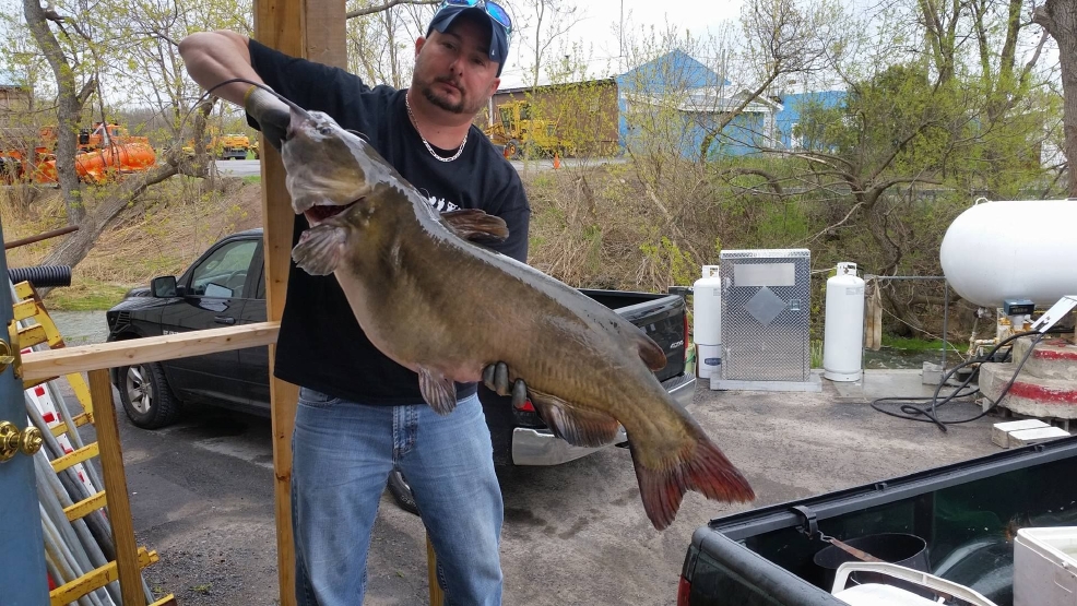 Watertown man catches state record channel catfish WSTM