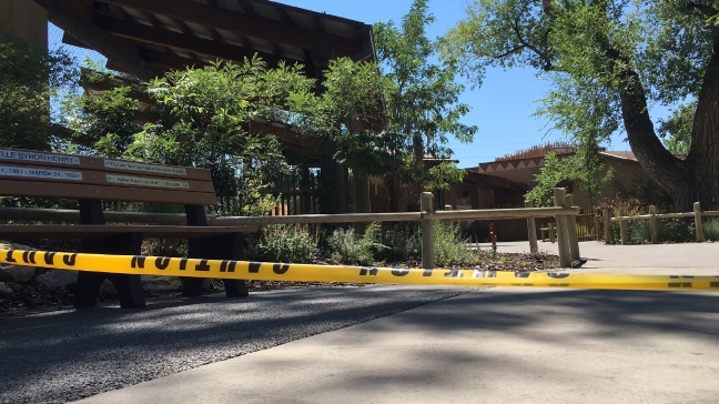 Acid leaks at Utah zoo; lions, humans OK