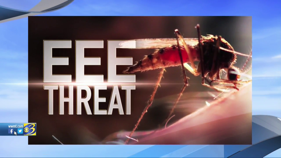 Nycs Battle Against Mosquitoes The Pesticide Spraying Debate - 60301wd