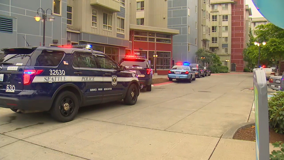 Woman fighting for life after stabbing in Seattle's Bitter Lake