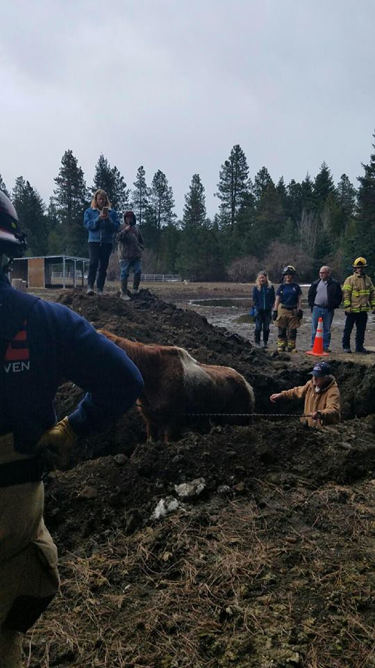 Watch Horse rescued from sinkhole 14 feet deep in Kittitas County KMTR Watch Horse rescued from sinkhole 14 feet deep in Kittitas County KMTR