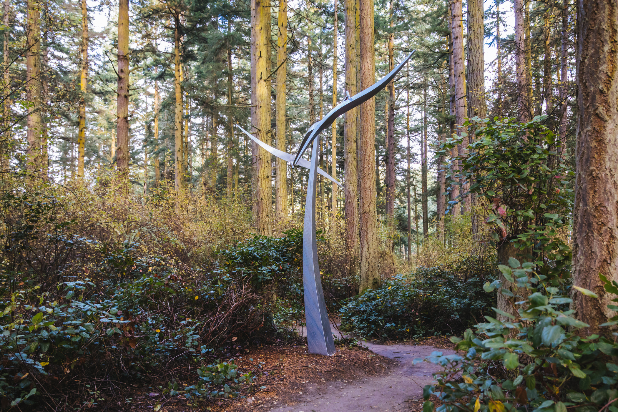 Photos New sculpture forest opens on Whidbey Island Seattle Refined