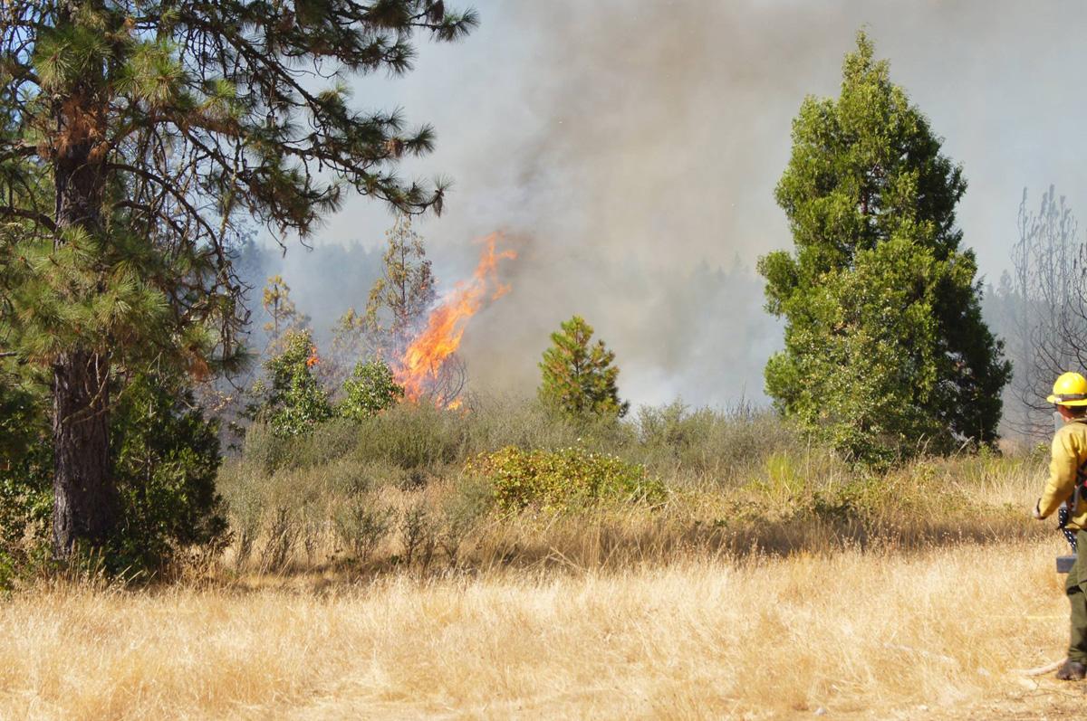 Redwood Highway Fire destroys 3 homes, 5 buildings near Oregon