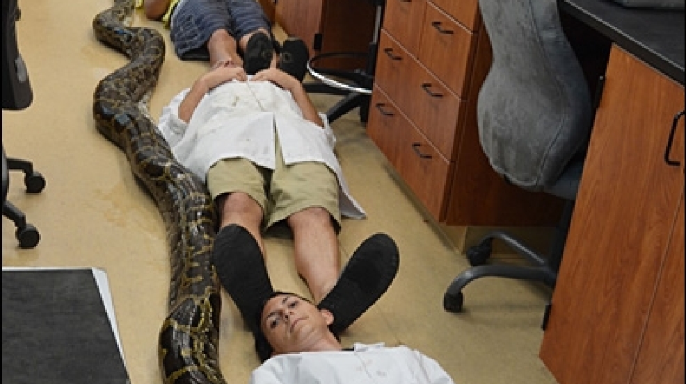 130521_giant_python_1.jpg