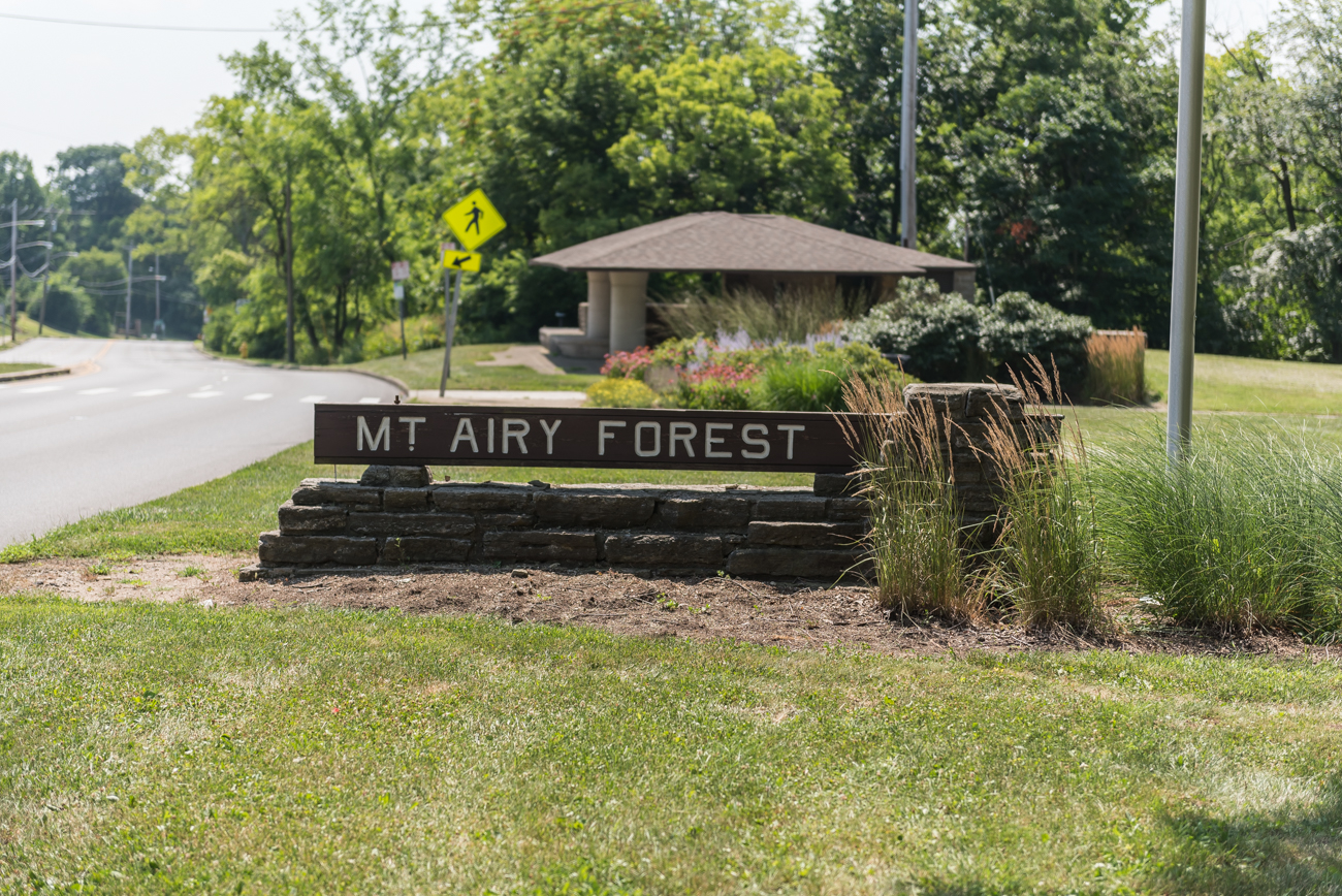 Mt. Airy Forest Is The Perfect Place To Indulge Your Adventurer Self