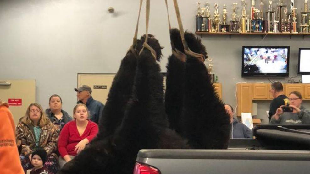 PA Game Commission releases results of first 3 days of bear harvest WJAC